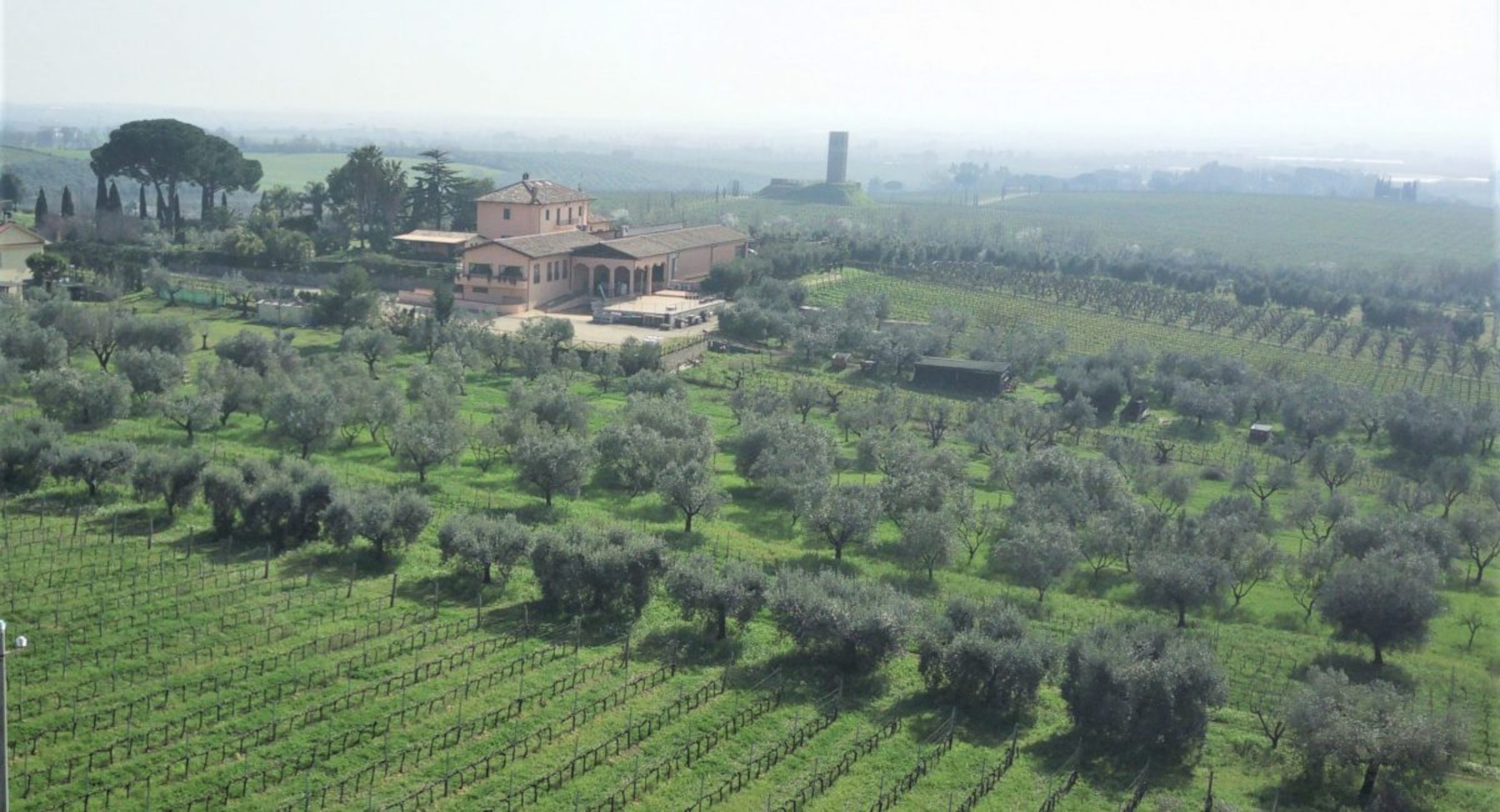 La Luna del Casale sceglie OREV® per l’etichetta ambientale e la tracciabilità dei suoi vini