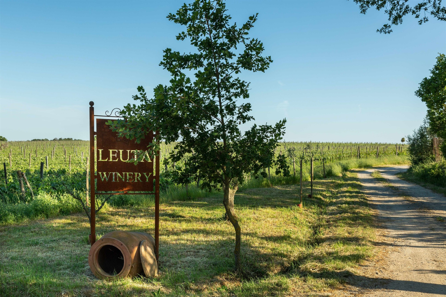 Leuta (Azienda Agricola Lagarini) ha scelto il QR-Code di OREV© per l’etichetta elettronica dei suoi vini