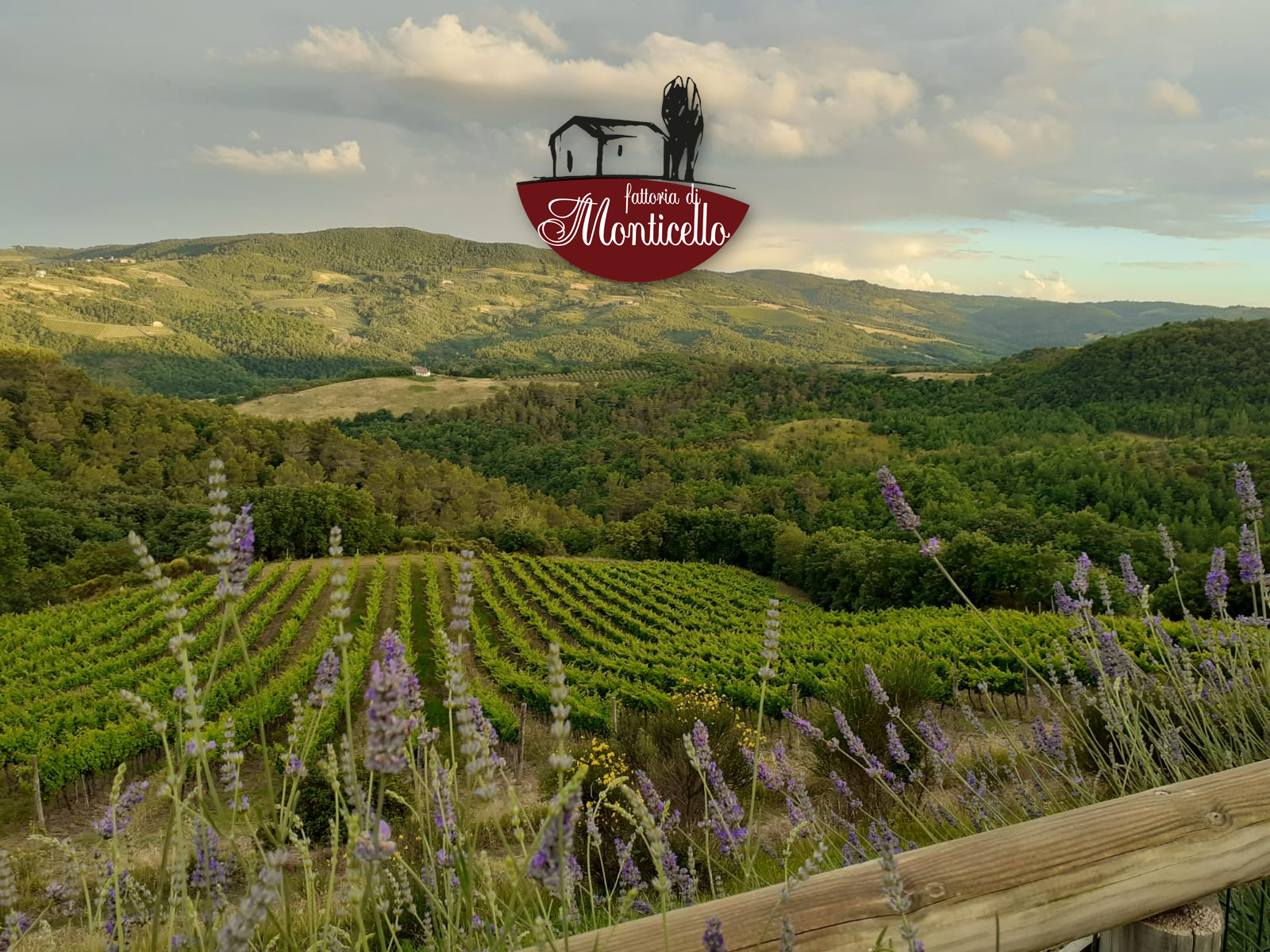 Fattoria di Monticello (San Venanzo – Terni) ha scelto il QR-Code di OREV© per l’etichetta elettronica dei suoi vini