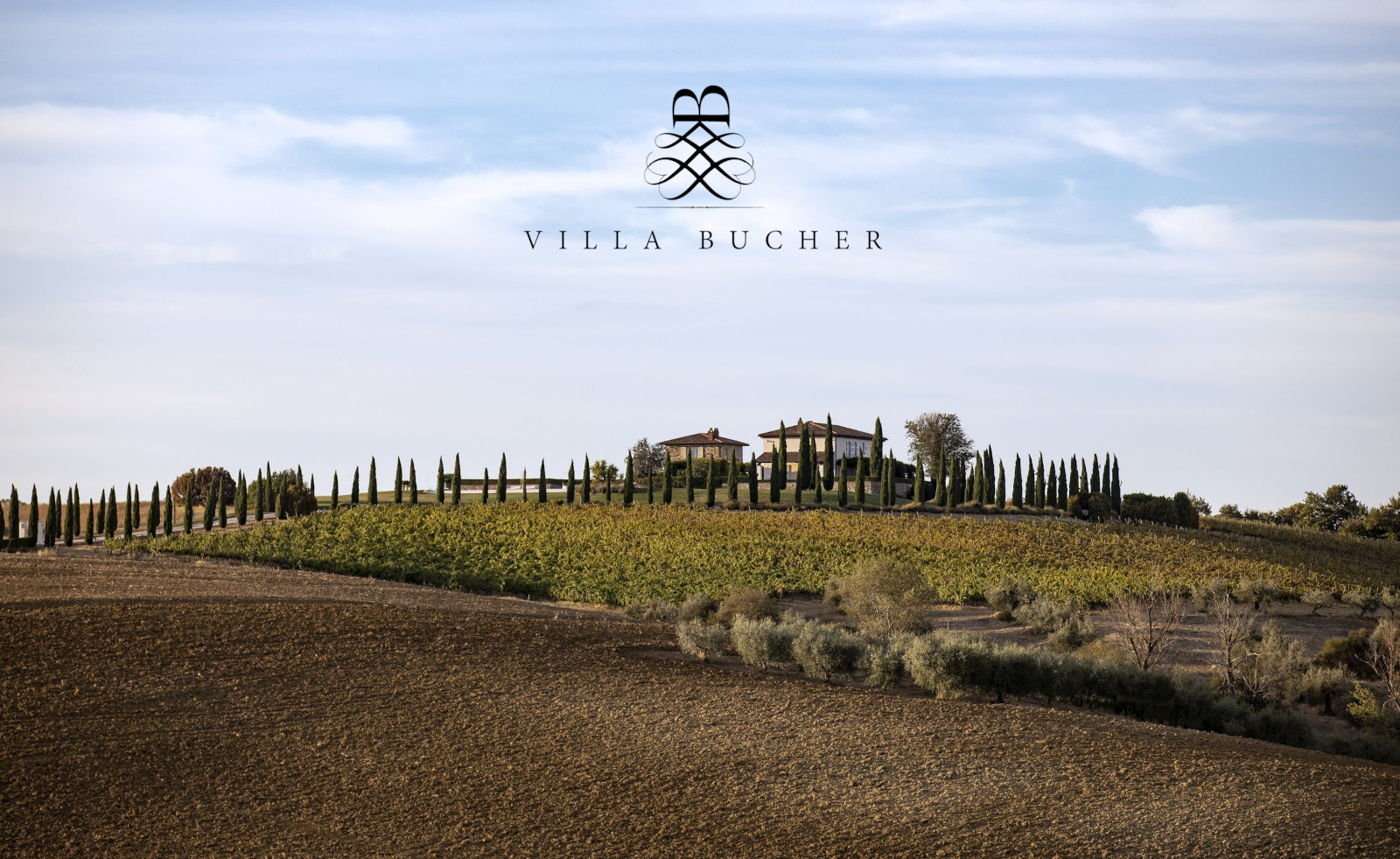 Villa Bucher Winery (San Venanzo – Terni) ha scelto il QR-Code di OREV© per l’etichetta elettronica dei suoi vini